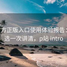 P站官方正版入口使用体验报告：怎么选一次讲清，p站 intro
