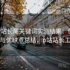 正规P站长尾关键词实测结果：优化方法与优缺点总结，p站站长工具