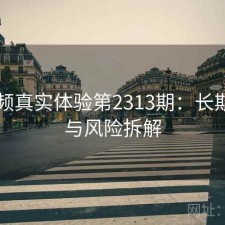 91视频真实体验第2313期：长期表现与风险拆解