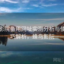 蜂鸟影院备用网址实测分析与使用技巧解析，蜂鸟影阮