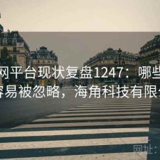 海角网平台现状复盘1247：哪些问题最容易被忽略，海角科技有限公司