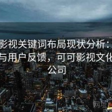 可可影视关键词布局现状分析：注意事项与用户反馈，可可影视文化传媒公司