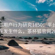 茶杯狐用户行为研究1850：平台生态正在发生什么，茶杯狐官网2021