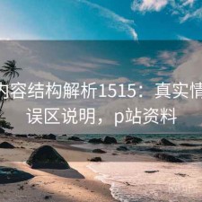 P站内容结构解析1515：真实情况与误区说明，p站资料