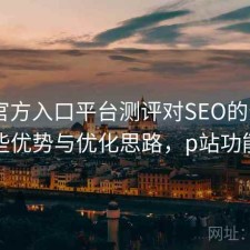 P站官方入口平台测评对SEO的影响：有哪些优势与优化思路，p站功能介绍