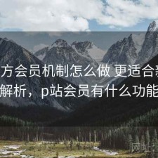 P站官方会员机制怎么做 更适合新手的解析，p站会员有什么功能