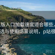 P站正版入口加载速度适合哪些人？怎么选与使用场景说明，p站很慢