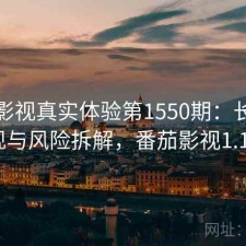 番茄影视真实体验第1550期：长期表现与风险拆解，番茄影视1.15