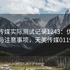 天美传媒实际测试记录1243：优缺点与注意事项，天美传媒0119