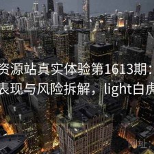 白虎资源站真实体验第1613期：长期表现与风险拆解，light白虎