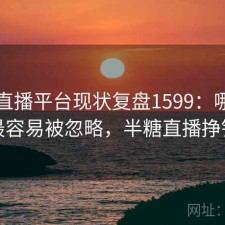 半糖直播平台现状复盘1599：哪些问题最容易被忽略，半糖直播挣钱吗