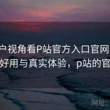 从用户视角看P站官方入口官网入口：好不好用与真实体验，p站的官网是