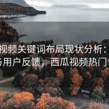 西瓜视频关键词布局现状分析：怎么选与用户反馈，西瓜视频热门领域