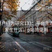 P站用户行为研究133：平台生态正在发生什么，p站的使用