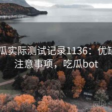 17吃瓜实际测试记录1136：优缺点与注意事项，吃瓜bot