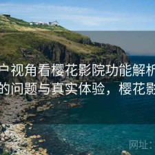 从用户视角看樱花影院功能解析：存在的问题与真实体验，樱花影厅