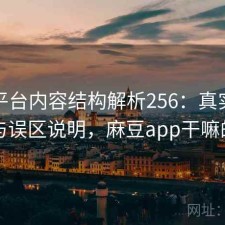 麻豆平台内容结构解析256：真实情况与误区说明，麻豆app干嘛的