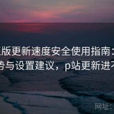 P站正版更新速度安全使用指南：有哪些优势与设置建议，p站更新进不去了