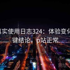 P站真实使用日志324：体验变化与关键结论，p站正常