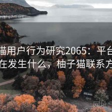 柚子猫用户行为研究2065：平台生态正在发生什么，柚子猫联系方式