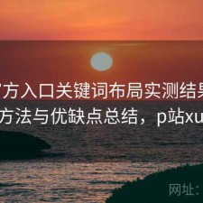 P站官方入口关键词布局实测结果：优化方法与优缺点总结，p站xude