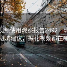 探花视频使用观察报告2492：现状分析与避坑建议，探花视频都在哪看的