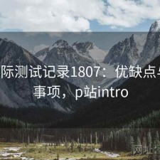 P站实际测试记录1807：优缺点与注意事项，p站intro