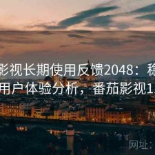 番茄影视长期使用反馈2048：稳定性与用户体验分析，番茄影视1.15