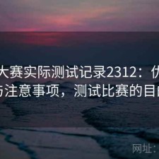 每日大赛实际测试记录2312：优缺点与注意事项，测试比赛的目的