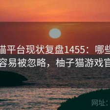 柚子猫平台现状复盘1455：哪些问题最容易被忽略，柚子猫游戏官网