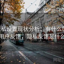 17c隐私设置现状分析：有什么区别与用户反馈，隐私反馈是什么