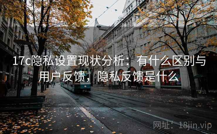 17c隐私设置现状分析：有什么区别与用户反馈，隐私反馈是什么  第1张
