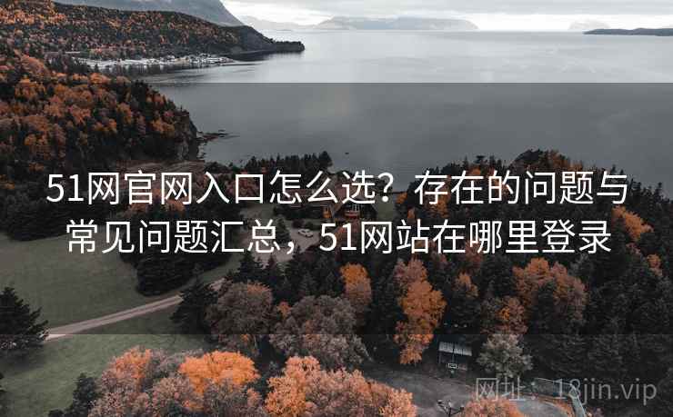 51网官网入口怎么选？存在的问题与常见问题汇总，51网站在哪里登录  第1张