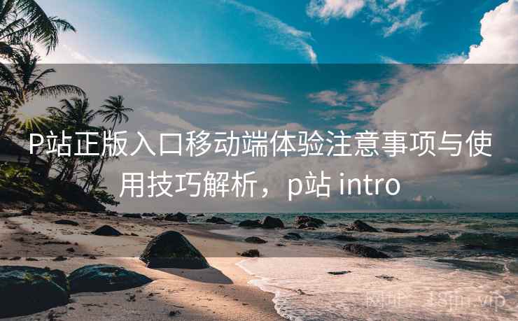 P站正版入口移动端体验注意事项与使用技巧解析，p站 intro  第2张