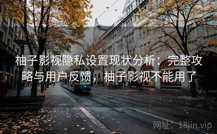 柚子影视隐私设置现状分析:完整攻略与用户反馈,柚子影视不能用了 第1张 柚子影视隐私设置现状分析:完整攻略与用户反馈,柚子影视不能用了 第1张
