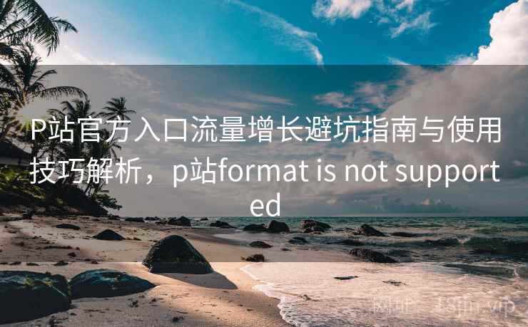 P站官方入口流量增长避坑指南与使用技巧解析，p站format is not supported  第1张