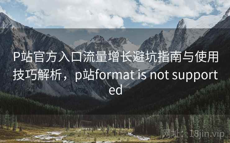 P站官方入口流量增长避坑指南与使用技巧解析，p站format is not supported  第2张