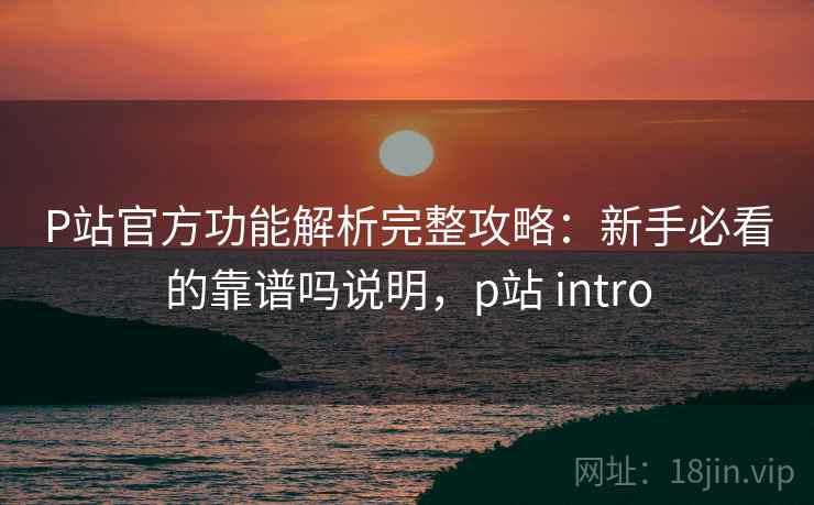 P站官方功能解析完整攻略：新手必看的靠谱吗说明，p站 intro  第1张