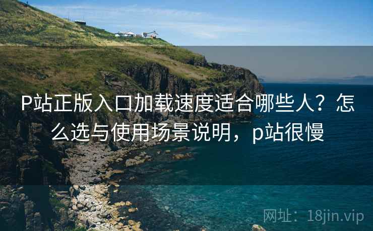 P站正版入口加载速度适合哪些人？怎么选与使用场景说明，p站很慢  第1张