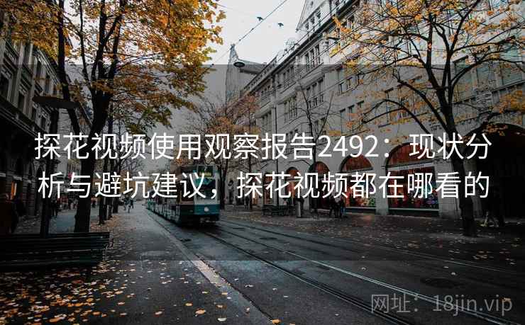 探花视频使用观察报告2492：现状分析与避坑建议，探花视频都在哪看的  第1张