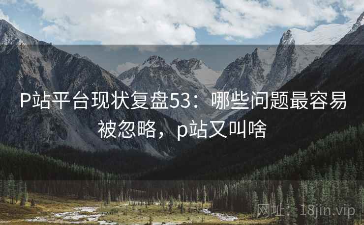 P站平台现状复盘53：哪些问题最容易被忽略，p站又叫啥  第2张