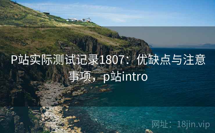 P站实际测试记录1807：优缺点与注意事项，p站intro  第2张