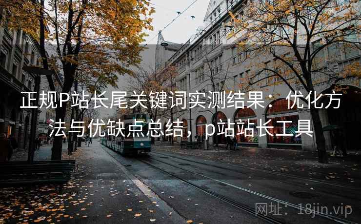 正规P站长尾关键词实测结果：优化方法与优缺点总结，p站站长工具  第1张