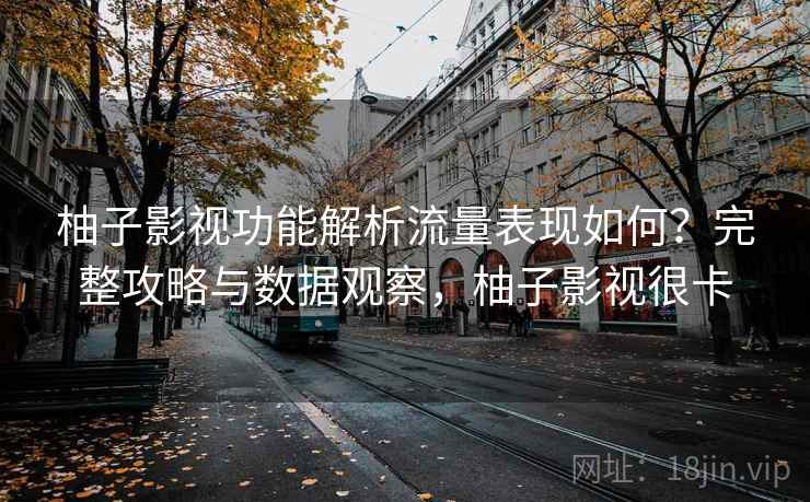 柚子影视功能解析流量表现如何？完整攻略与数据观察，柚子影视很卡  第2张
