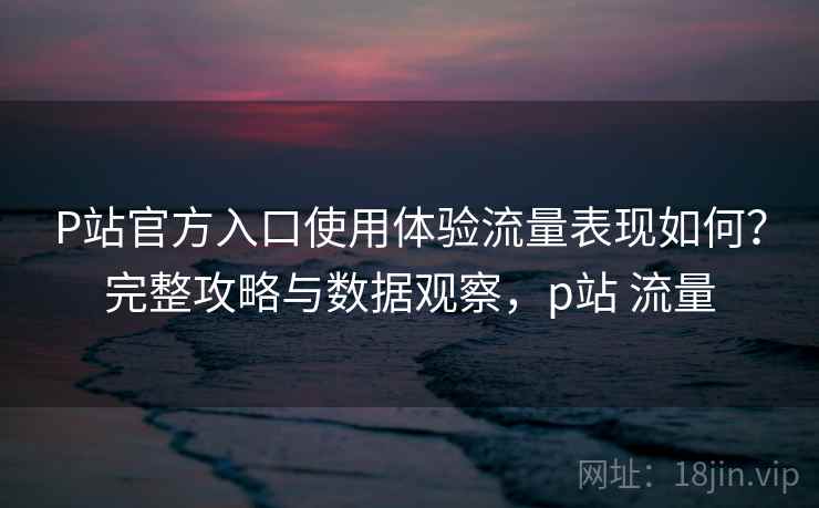 P站官方入口使用体验流量表现如何？完整攻略与数据观察，p站 流量  第2张