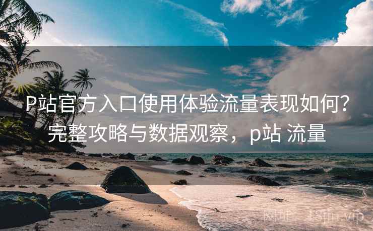 P站官方入口使用体验流量表现如何？完整攻略与数据观察，p站 流量  第1张