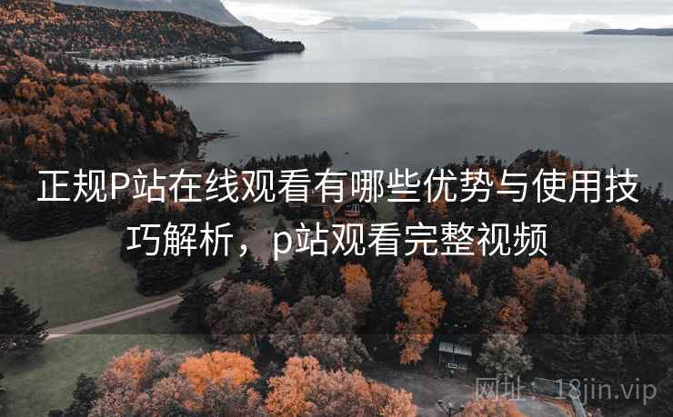 正规P站在线观看有哪些优势与使用技巧解析，p站观看完整视频  第2张