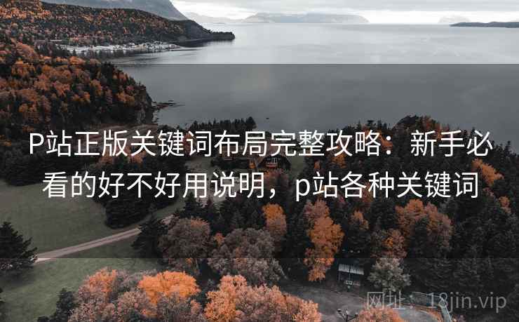 P站正版关键词布局完整攻略：新手必看的好不好用说明，p站各种关键词  第2张