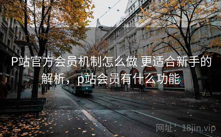 P站官方会员机制怎么做 更适合新手的解析，p站会员有什么功能  第2张