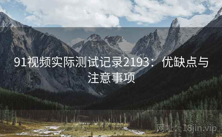 91视频实际测试记录2193：优缺点与注意事项  第2张